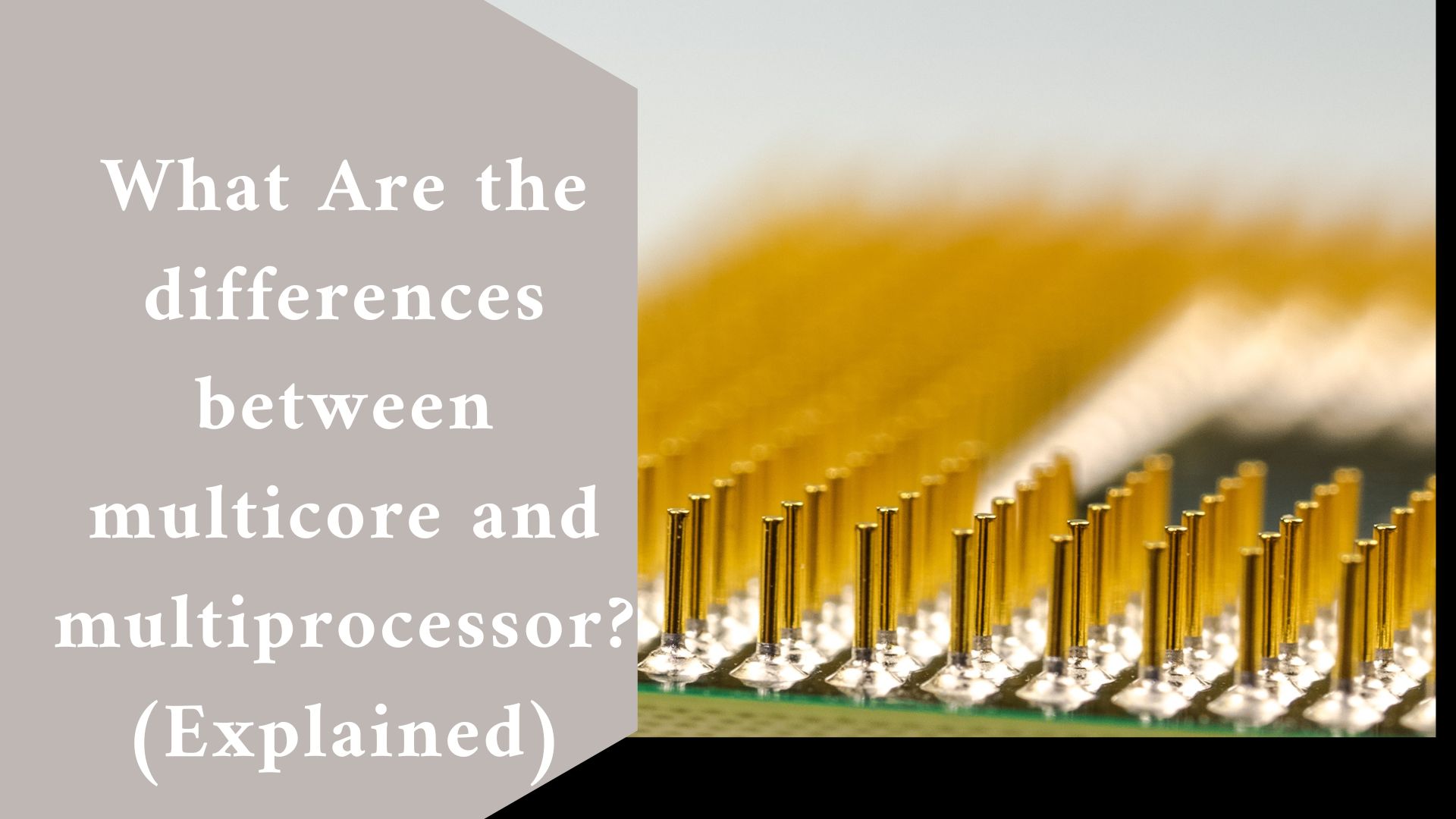 What Are the differences between multicore and multiprocessor? (Explained)